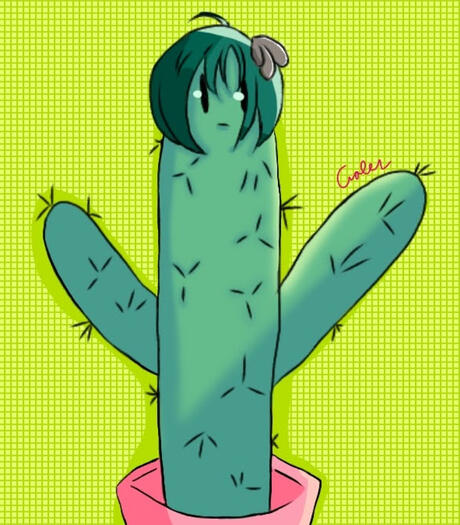 Isolated Cactus